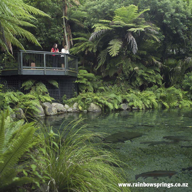 Rainbow Springs Nature Park